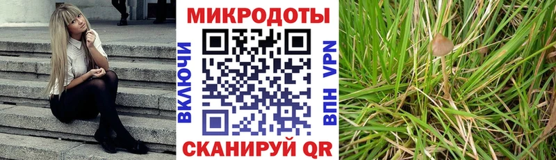 Галлюциногенные грибы GOLDEN TEACHER  Шацк 