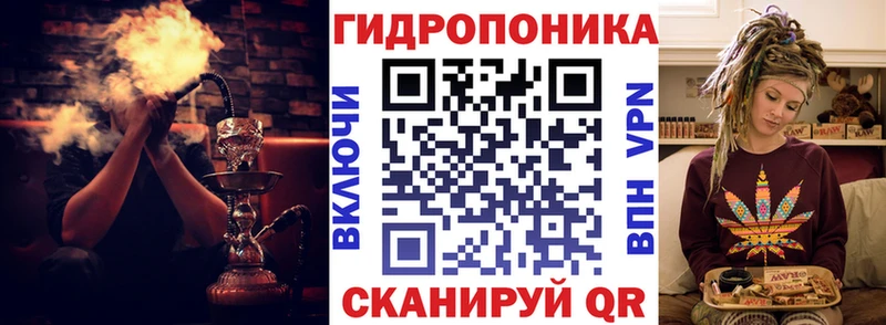 Бошки марихуана сатива Шацк